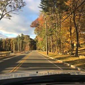 Meet your Posher, Delaney